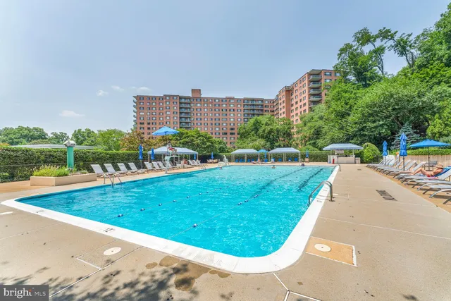 a view of a swimming pool with a garden and trees