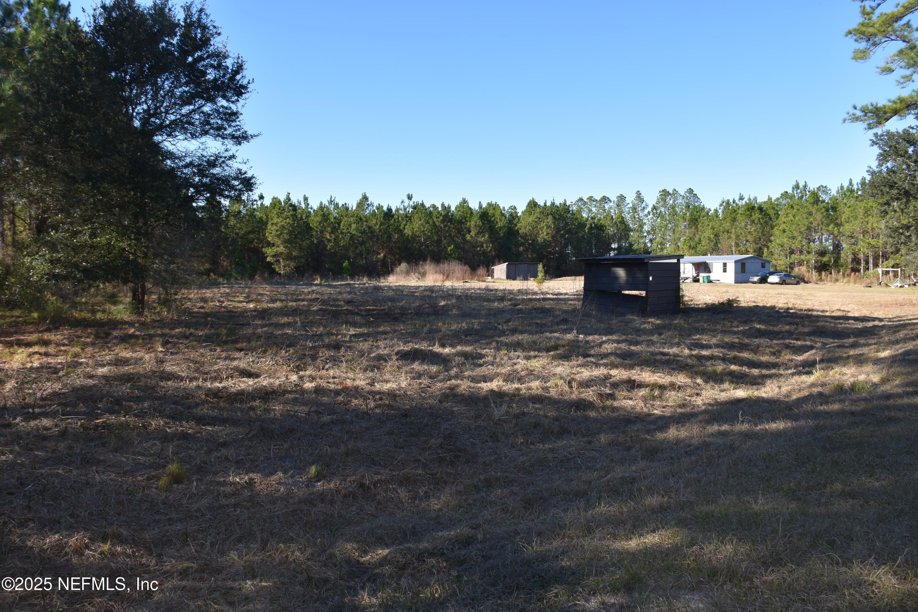 56695 Davis Road Callahan, FL 32011 - Photo 11 of 12 a view of a dirt yard with a large tree