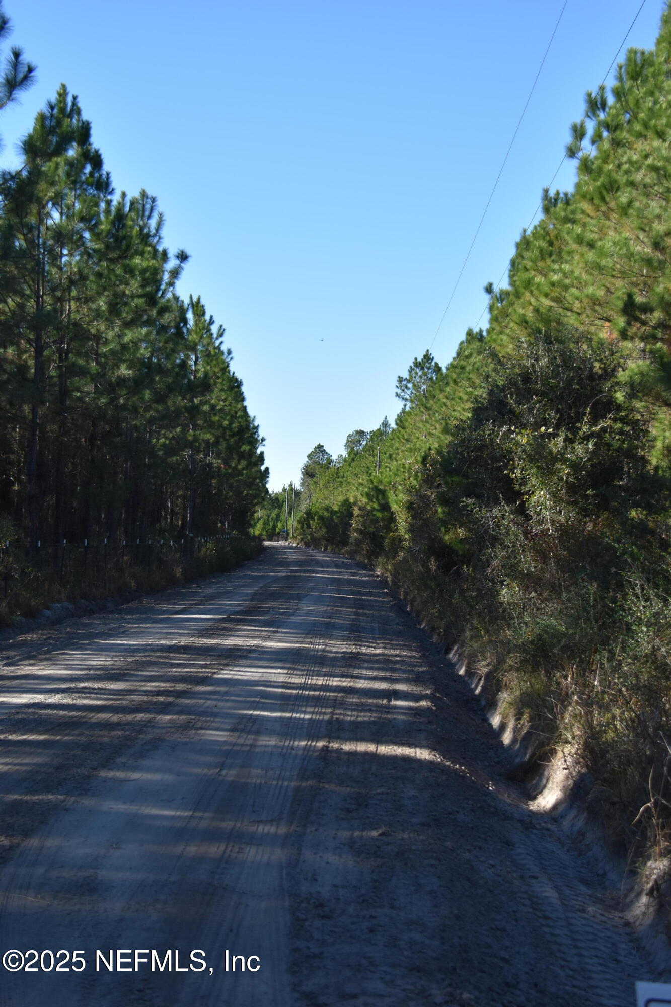 56695 Davis Road Callahan, FL 32011 - Photo 2 of 12 a view of backyard with green space