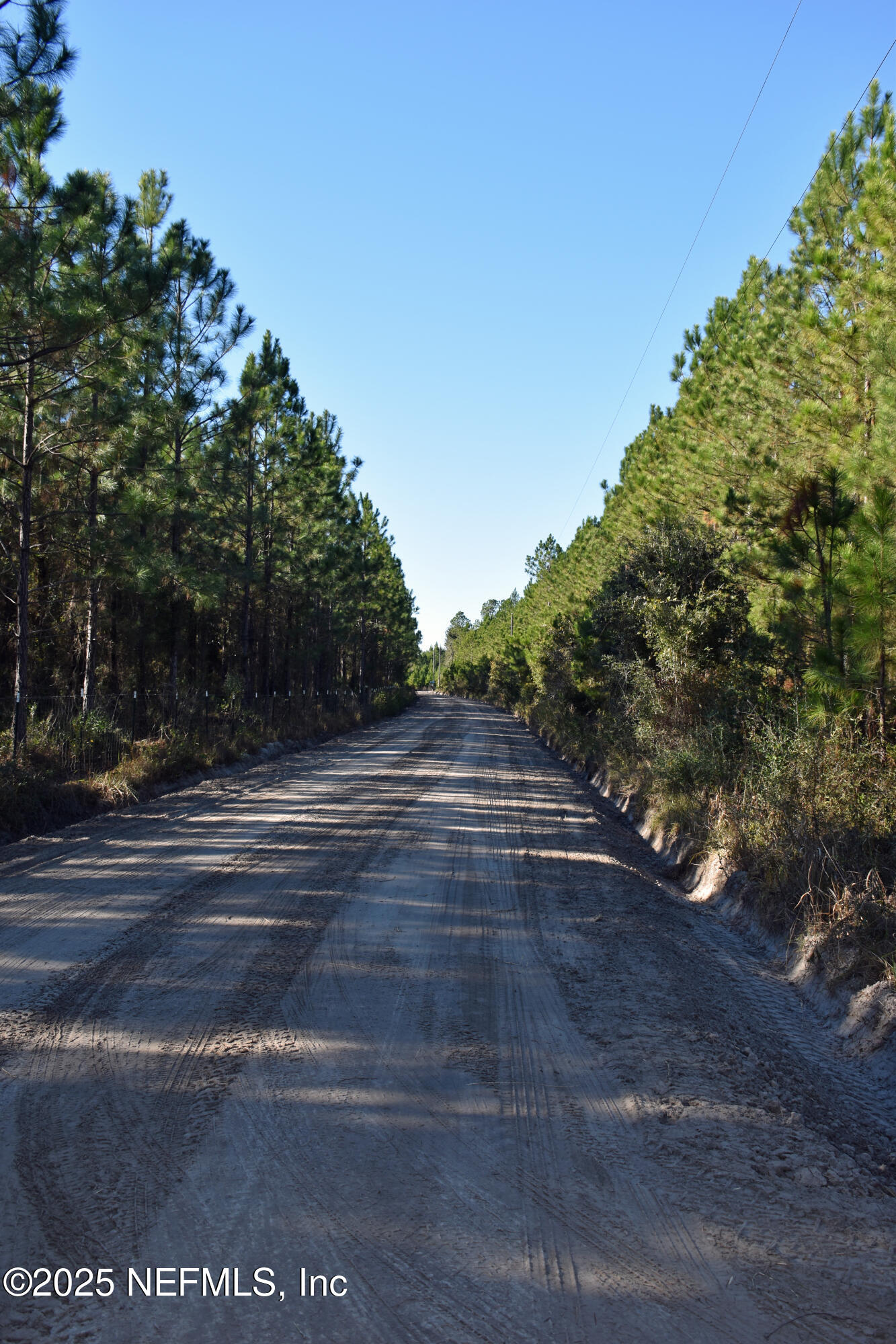56695 Davis Road Callahan, FL 32011 - Photo 3 of 12 a view of a yard