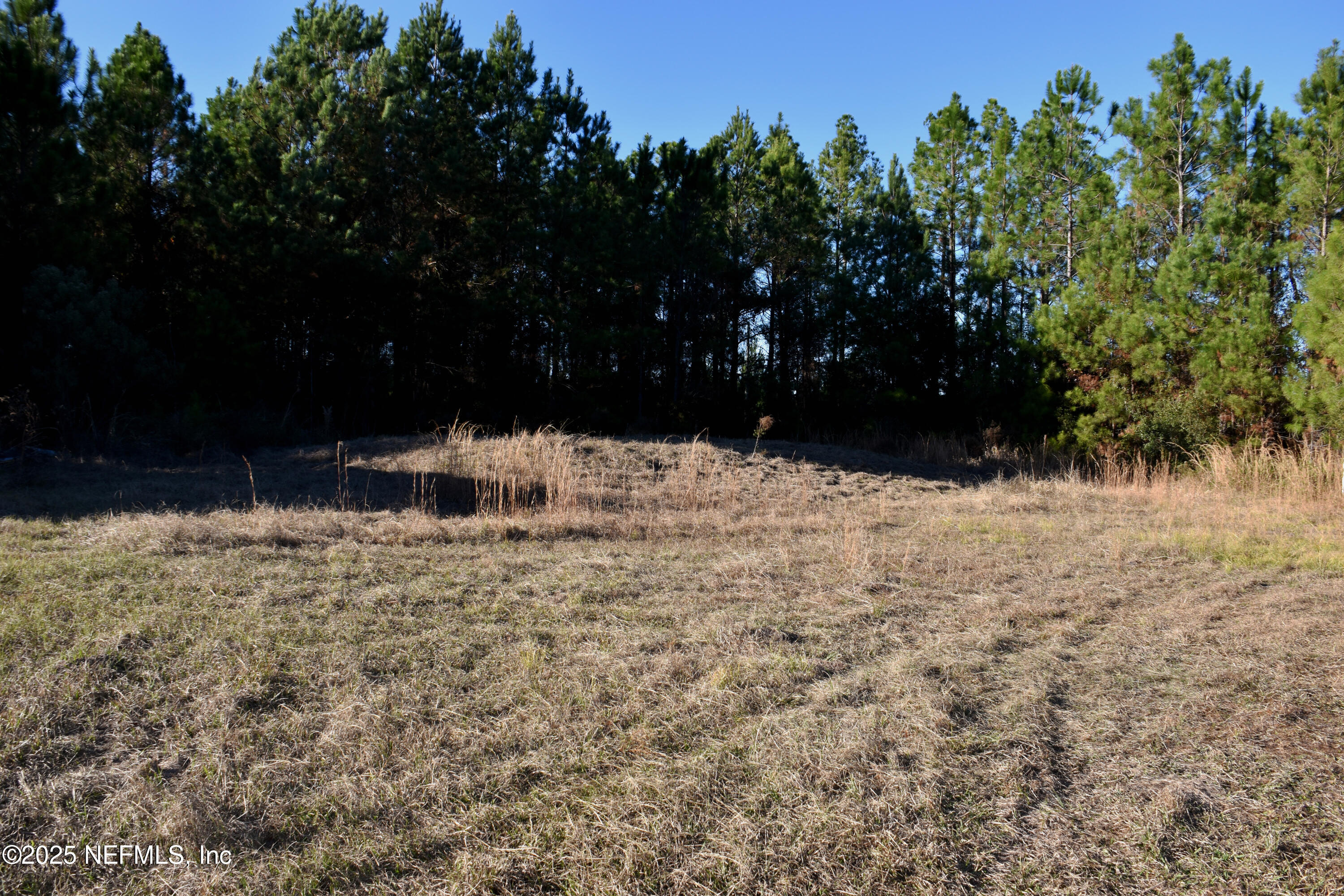 56695 Davis Road Callahan, FL 32011 - Photo 4 of 12 a view of side of a yard