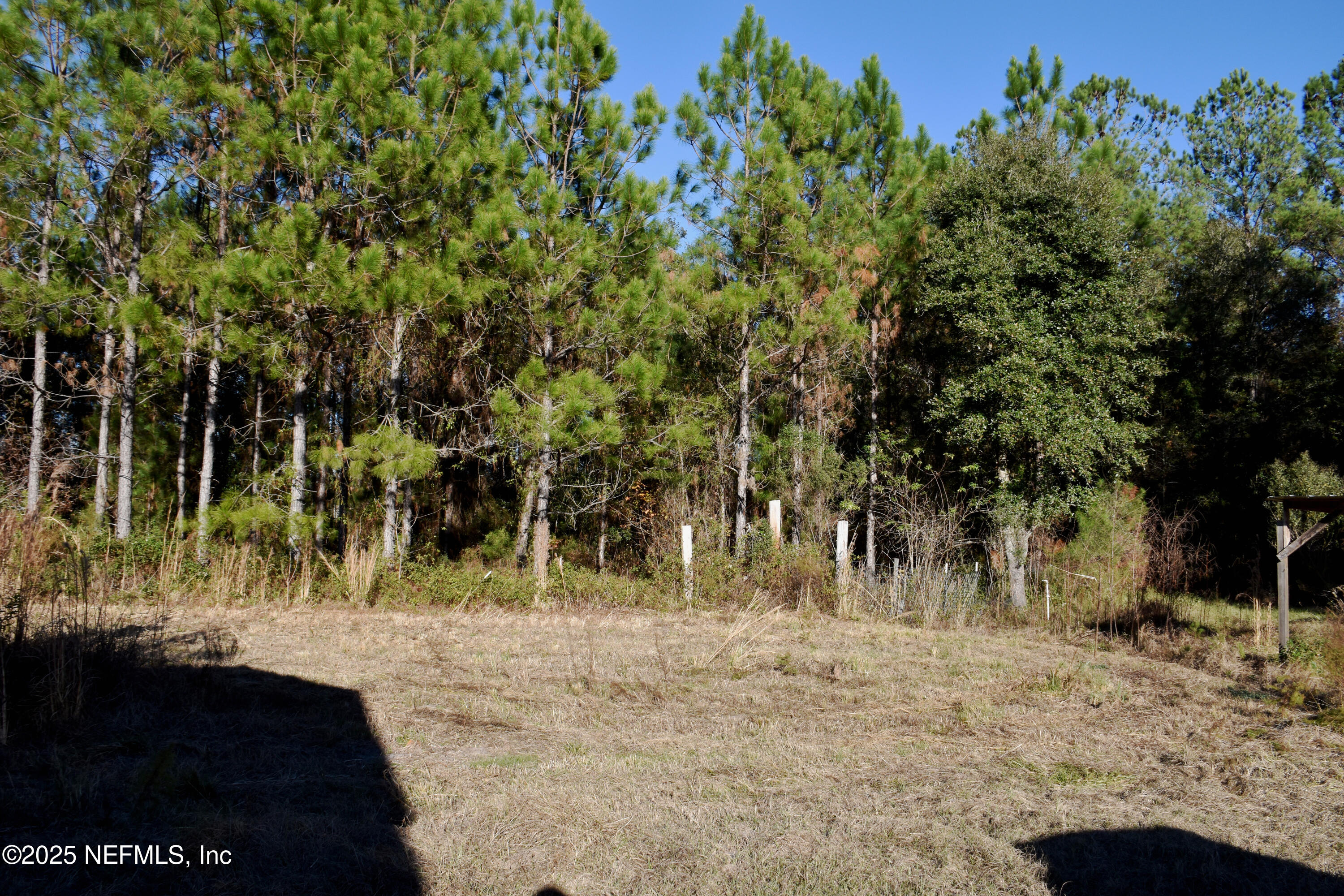56695 Davis Road Callahan, FL 32011 - Photo 7 of 12 a view of a yard with trees