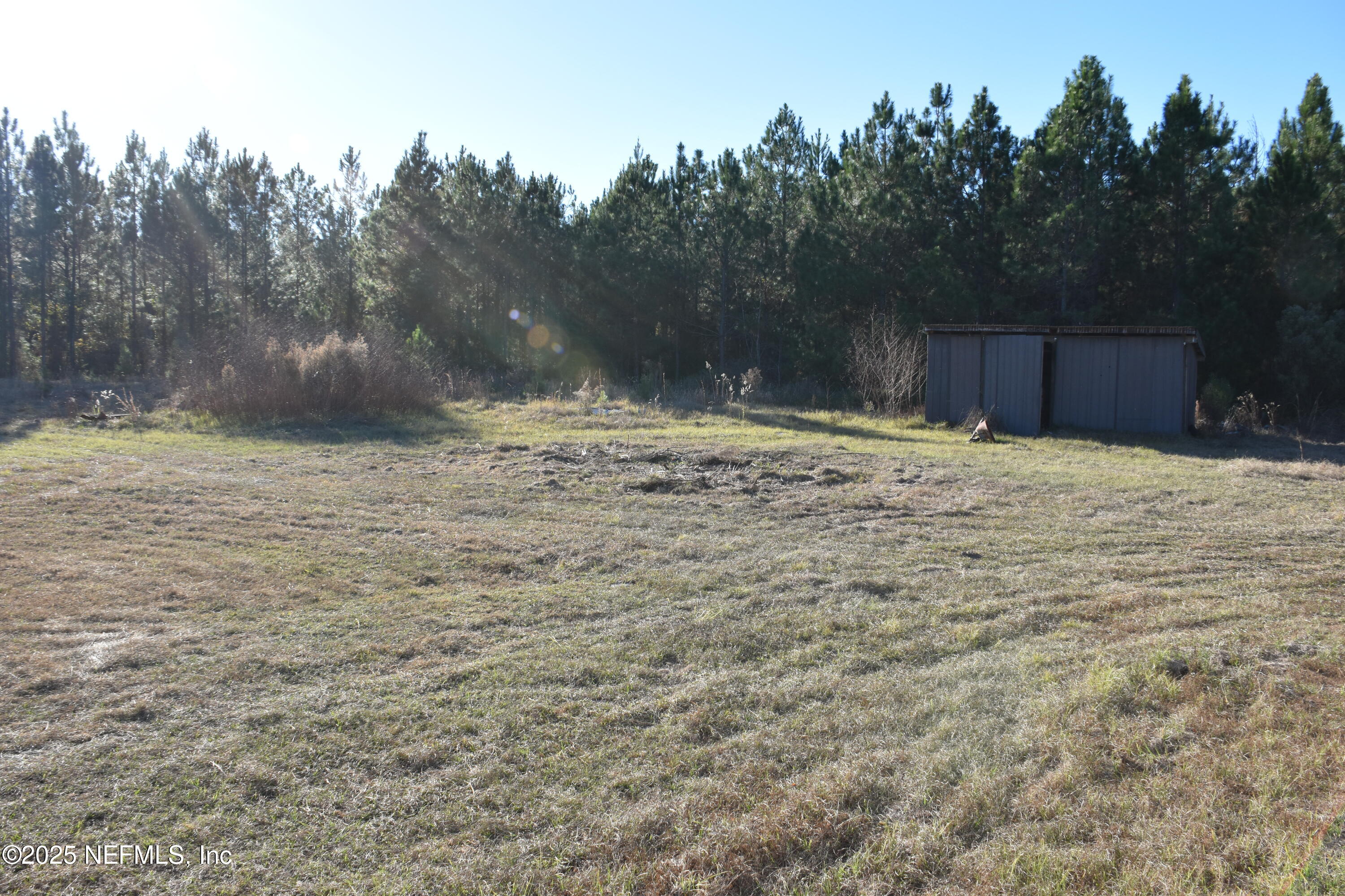 56695 Davis Road Callahan, FL 32011 - Photo 8 of 12 a view of a backyard of the house