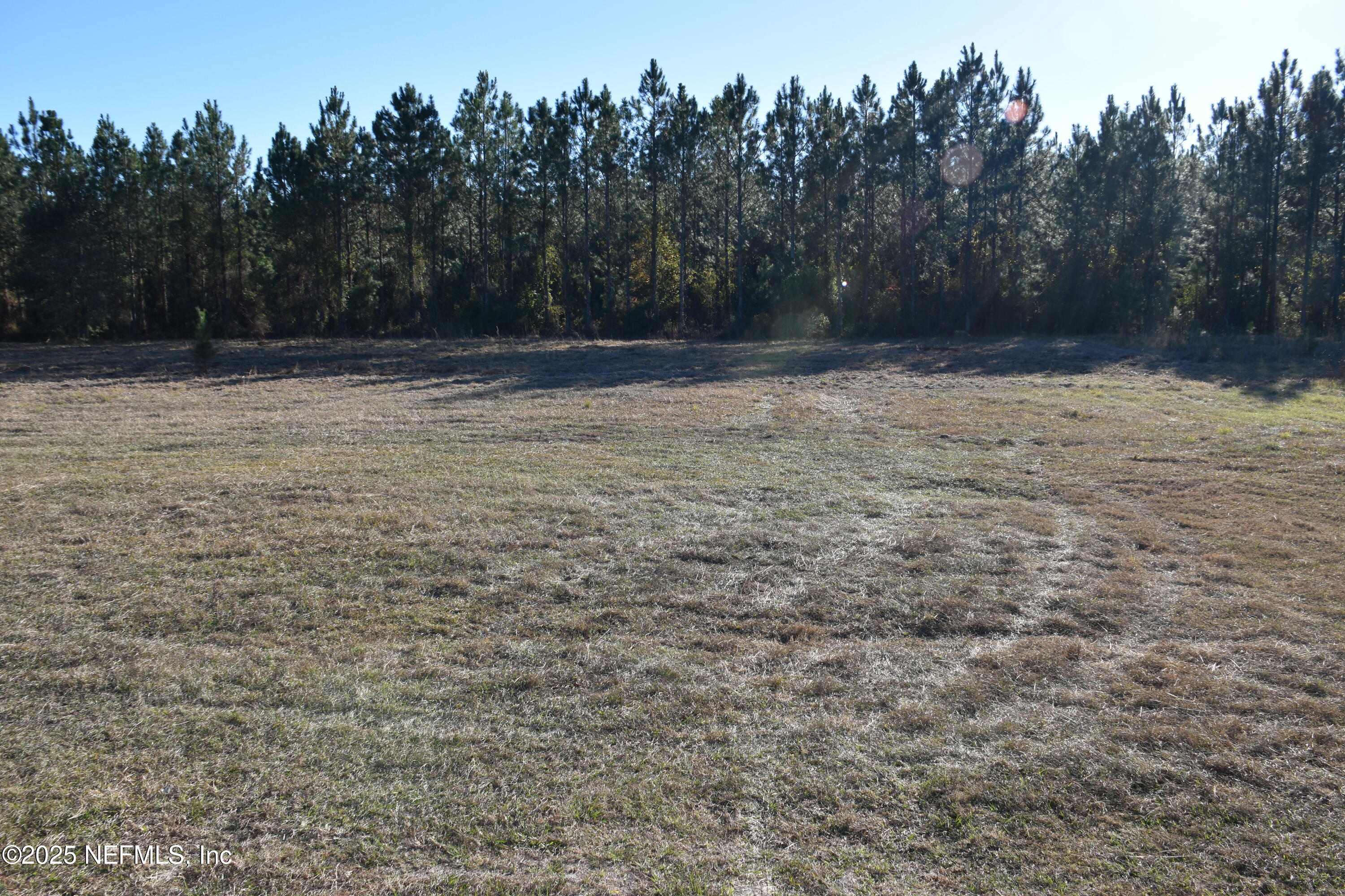 56695 Davis Road Callahan, FL 32011 - Photo 9 of 12 a view of empty room with trees