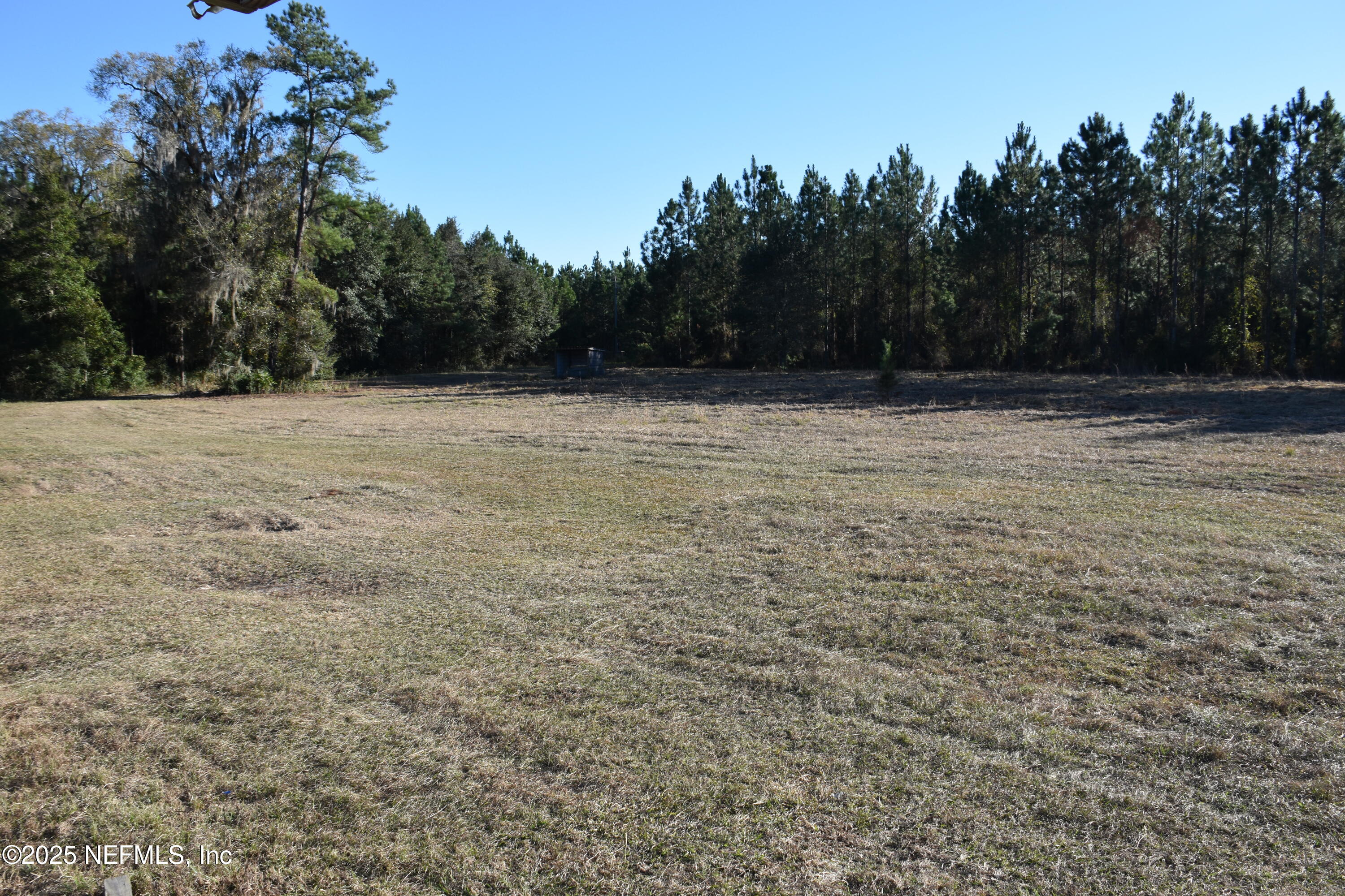 56695 Davis Road Callahan, FL 32011 - Photo 10 of 12 a view of a backyard