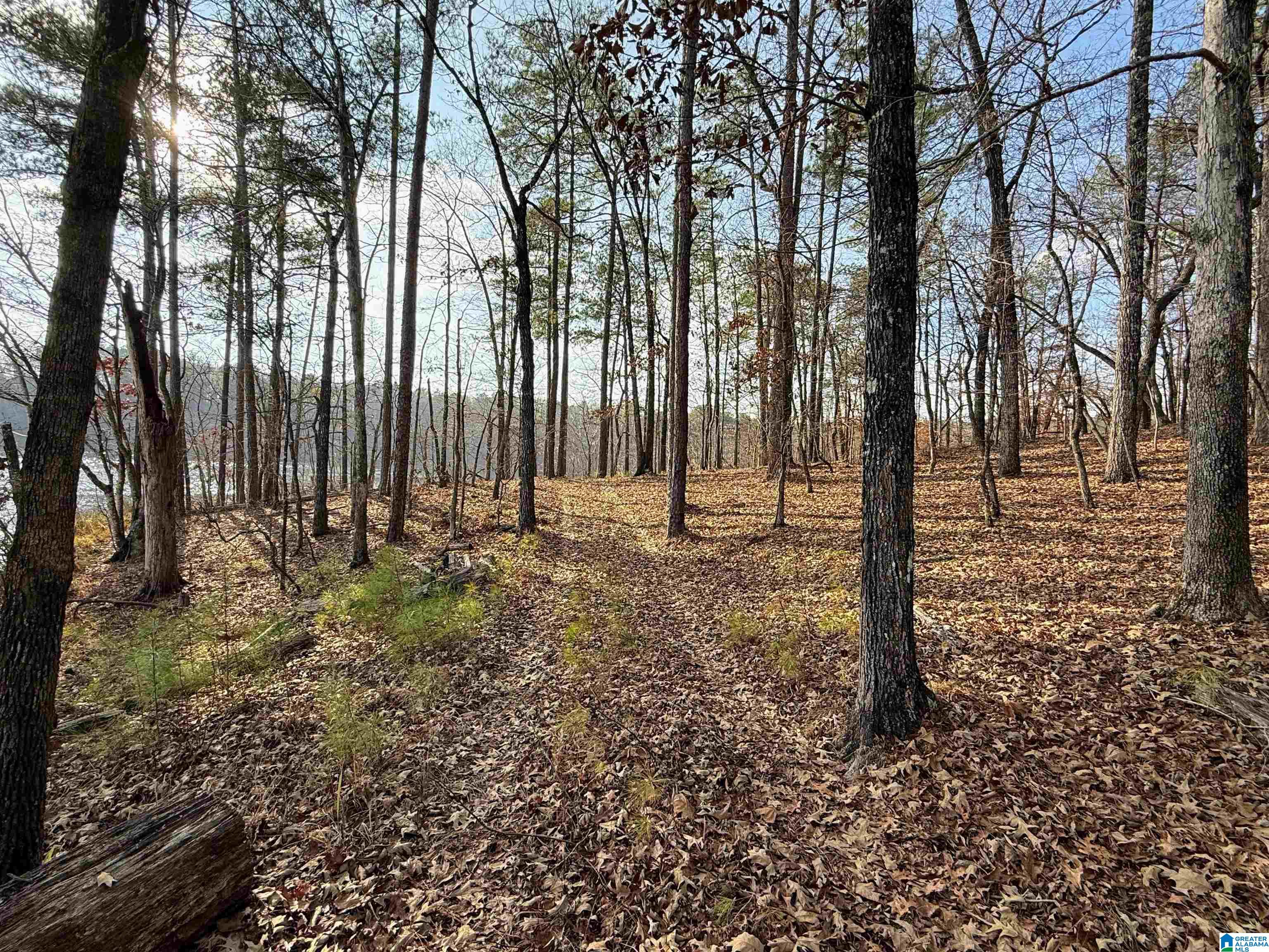 0 Deer Run Road Alabaster, AL 35007 - Photo 13 of 25