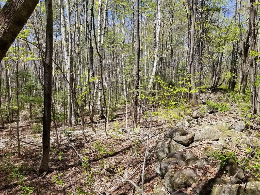 Tbd Hunter Road Strong, ME 04983 - Photo 11 of 20 Photo
