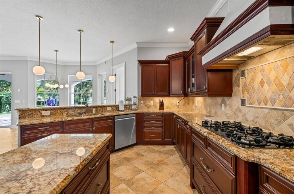 1227 Radiant Street Reunion, FL 34747 - Photo 66 of 70 a kitchen with stainless steel appliances granite countertop a stove a sink and a microwave