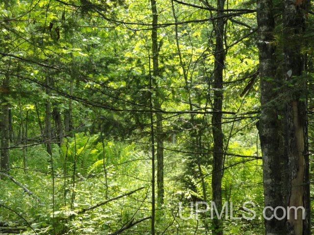 Tbd Budreau Road Baraga, MI 49908 - Photo 7 of 12 Gallery Image 7
