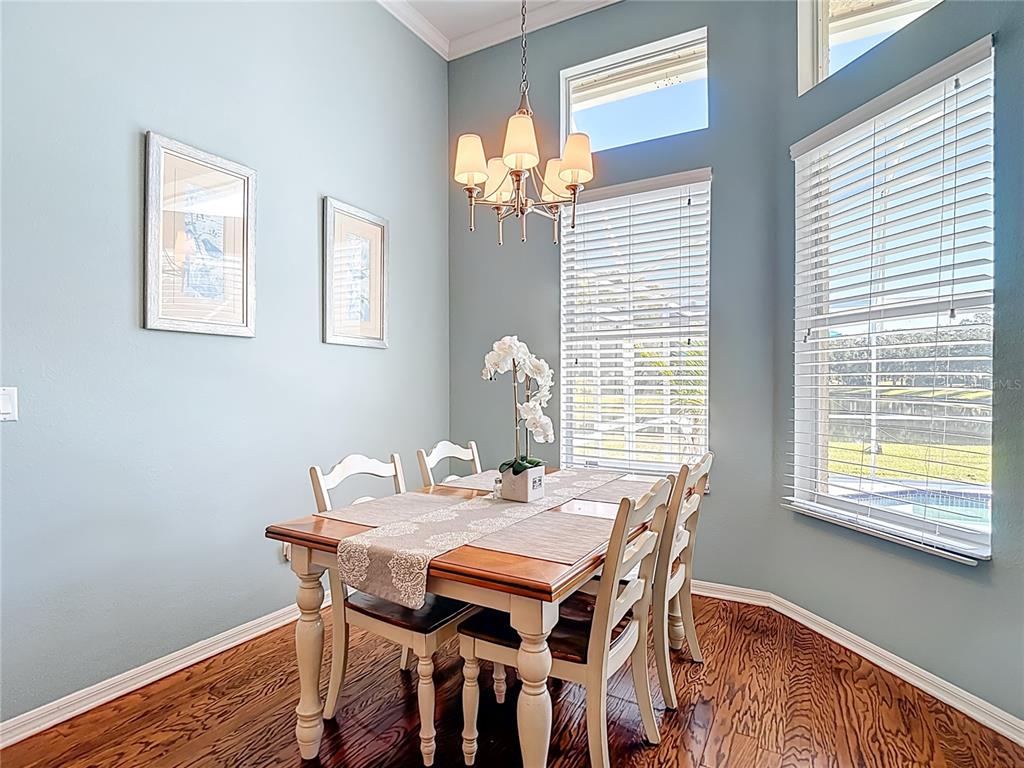 4805 Tea Rose Court Lutz, FL 33558 - Photo 23 of 59 a dining room with furniture and window