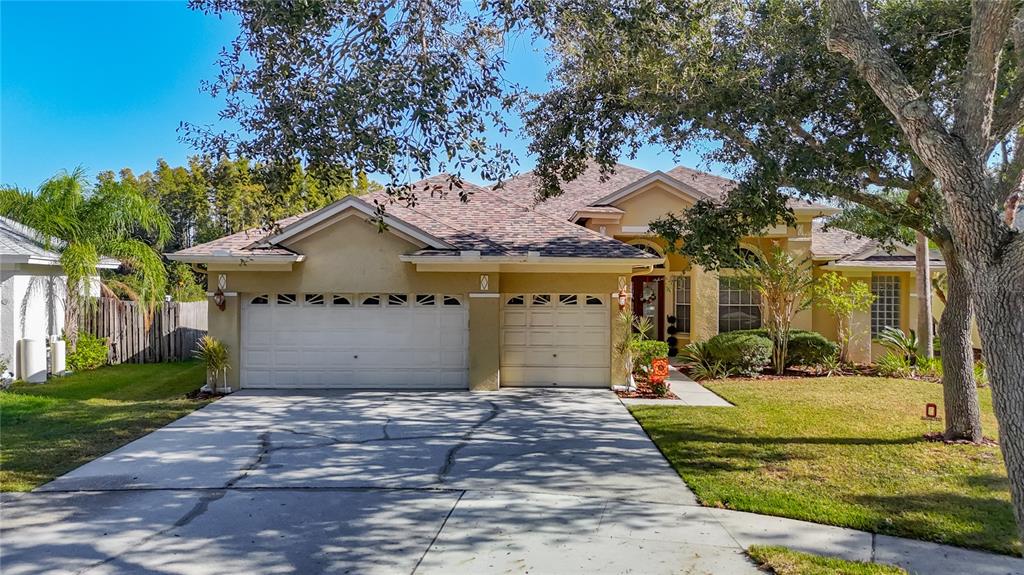4805 Tea Rose Court Lutz, FL 33558 - Photo 4 of 59 a view of a house with a yard