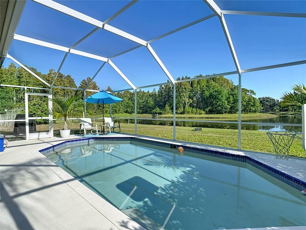 4805 Tea Rose Court Lutz, FL 33558 - Photo 45 of 59 a view of a house with a swimming pool