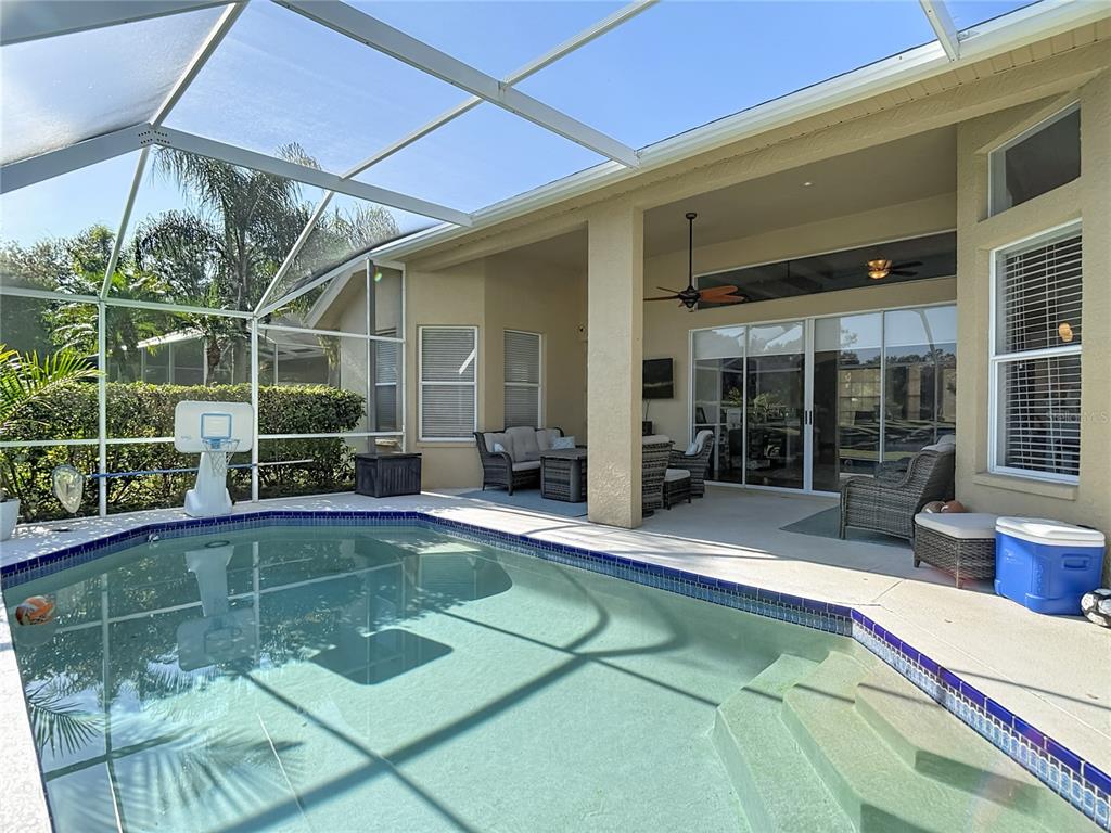 4805 Tea Rose Court Lutz, FL 33558 - Photo 47 of 59 a view of a swimming pool with a patio