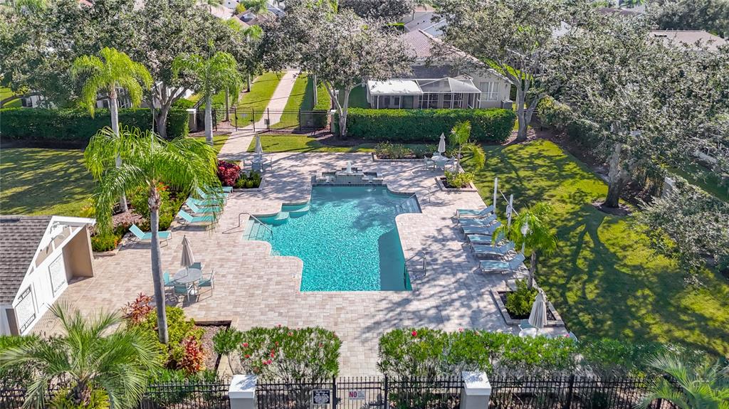 4805 Tea Rose Court Lutz, FL 33558 - Photo 55 of 59 a view of a yard with plants