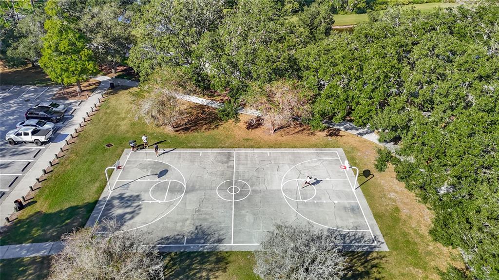 4805 Tea Rose Court Lutz, FL 33558 - Photo 58 of 59 an aerial view of a house with a yard