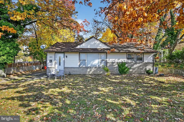 a white house that has a tree in front of it