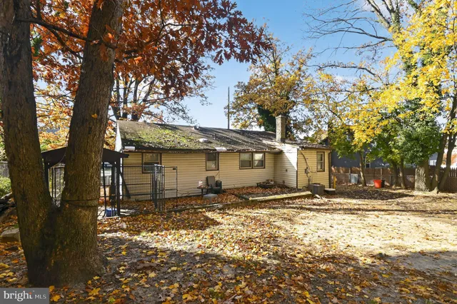 a view of a backyard with a large tree