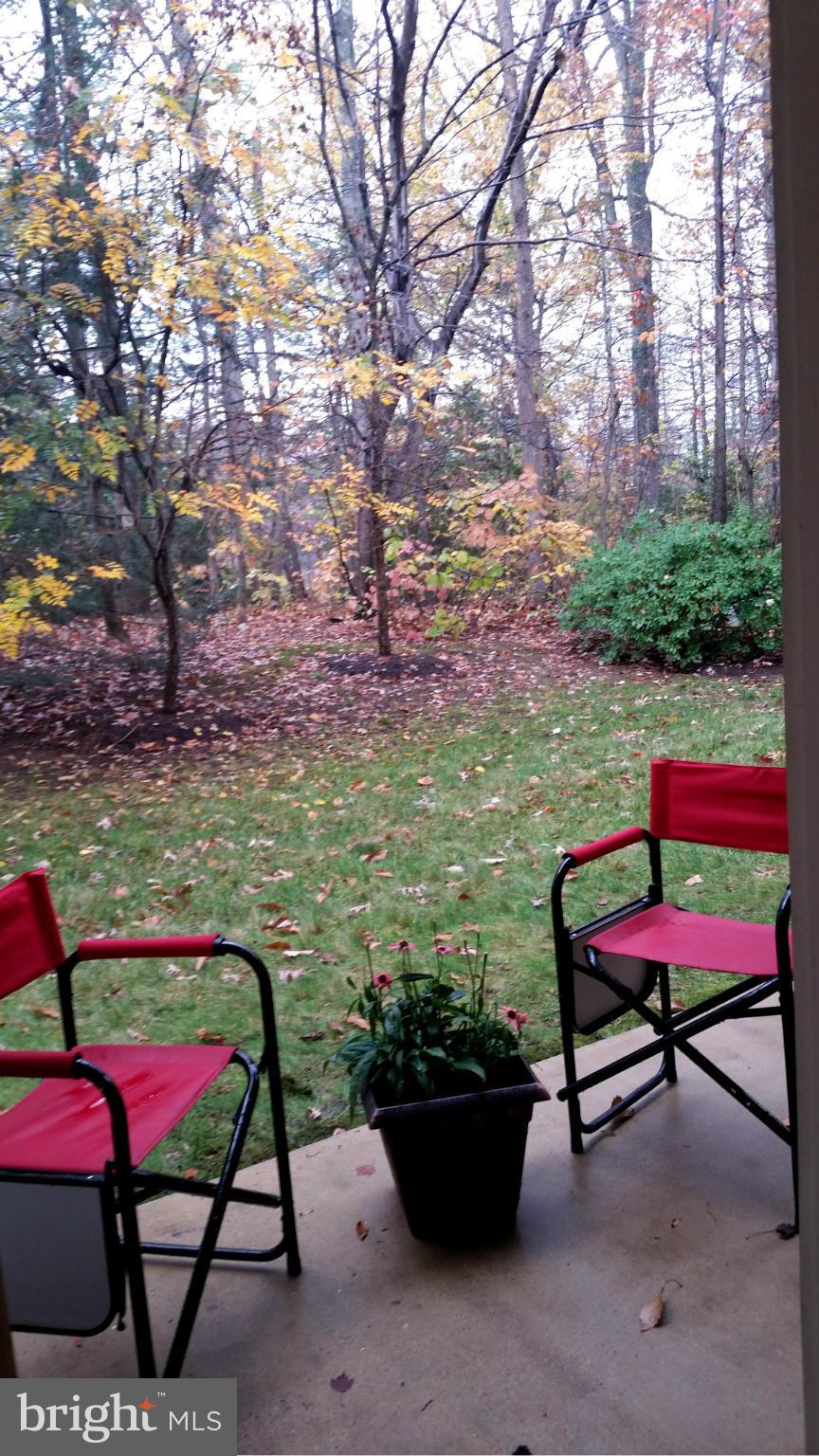 1305 Windleaf Drive, Unit G Reston, VA 20194 - Photo 16 of 27 Master Patio View