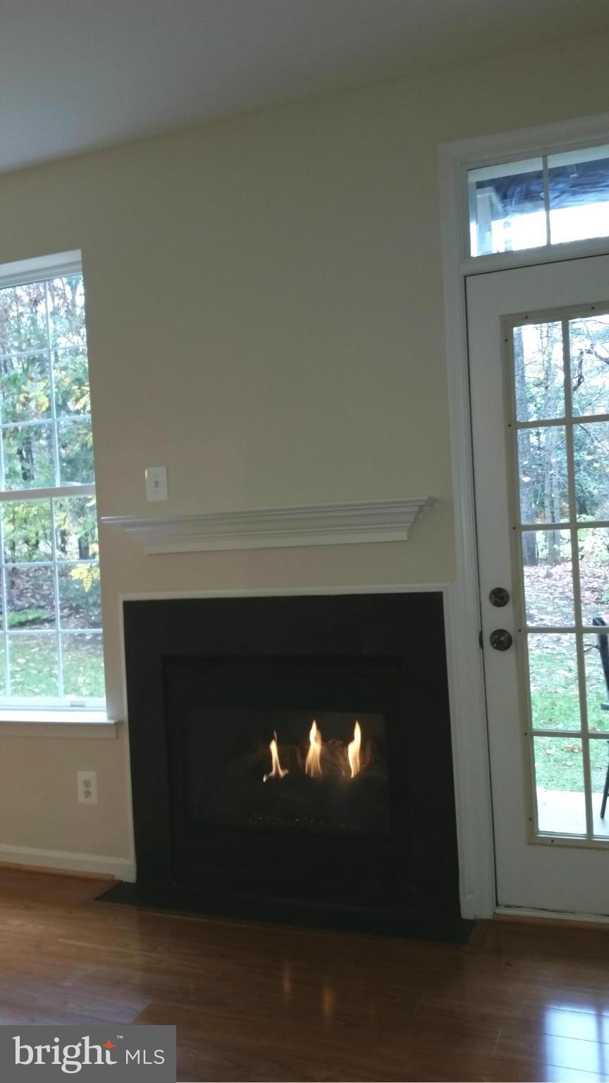 1305 Windleaf Drive, Unit G Reston, VA 20194 - Photo 9 of 27 Gas Fireplace w/mantel