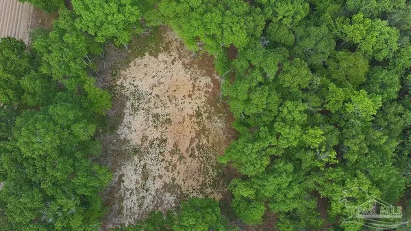 an aerial view of residential house with outdoor space and trees all around