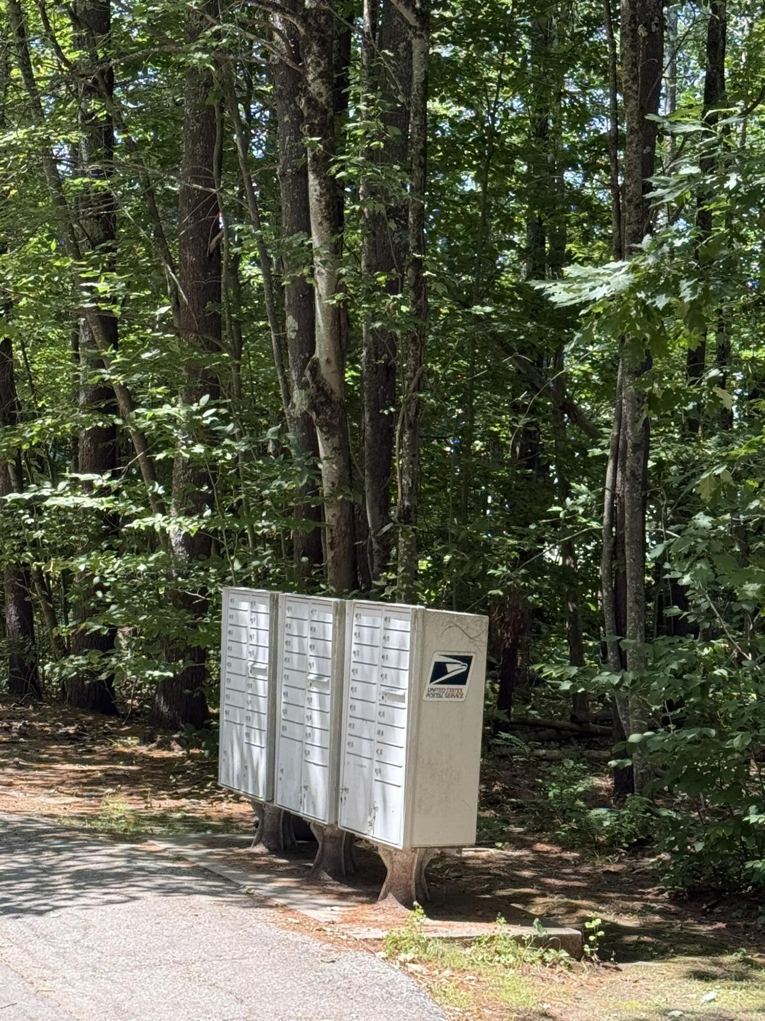 21 Baxter Woods Trail, Unit 46 Windham, ME 04062 - Photo 23 of 24 IMG_6454