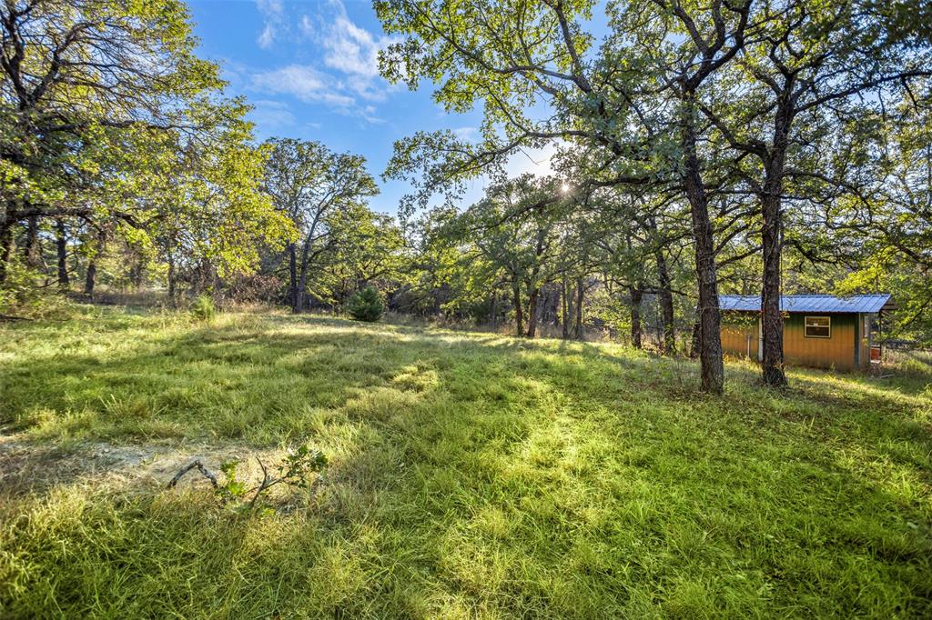 199 Cheyenne Trail Springtown, TX 76082 - Photo 13 of 22 Expansive grassy area with mature trees and a small structure featuring wood siding and a metal roof