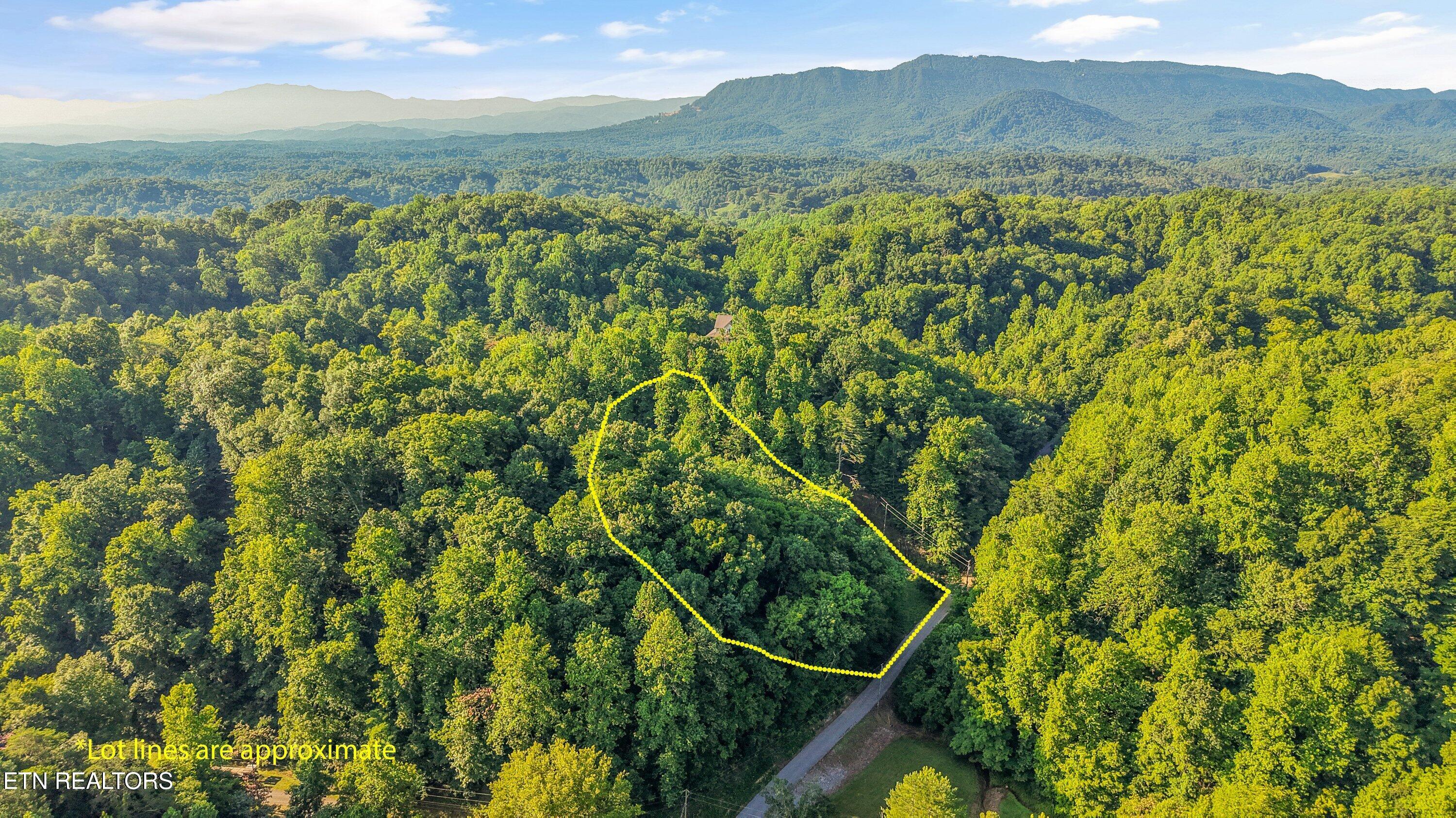 1717 Long Branch Road Seymour, TN 37865 - Photo 2 of 10 1717 Long Branch Rd02 2