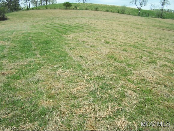 3514 Charleston Road Spencer, WV 25276 - Photo 8 of 11