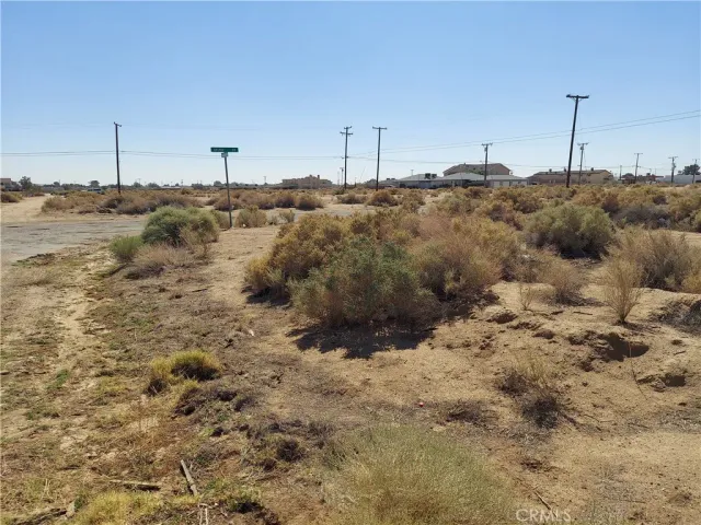 a view of a dry yard