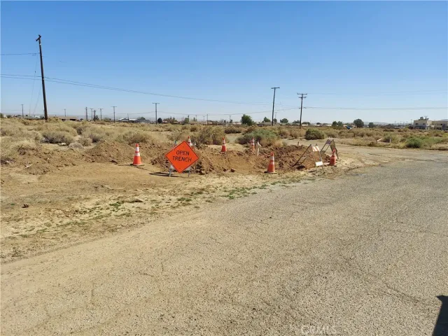 a view of a dry yard with a large tree