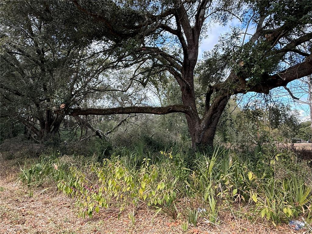0 Hilda Road Dade City, FL 33523 - Photo 2 of 6 a view of a garden