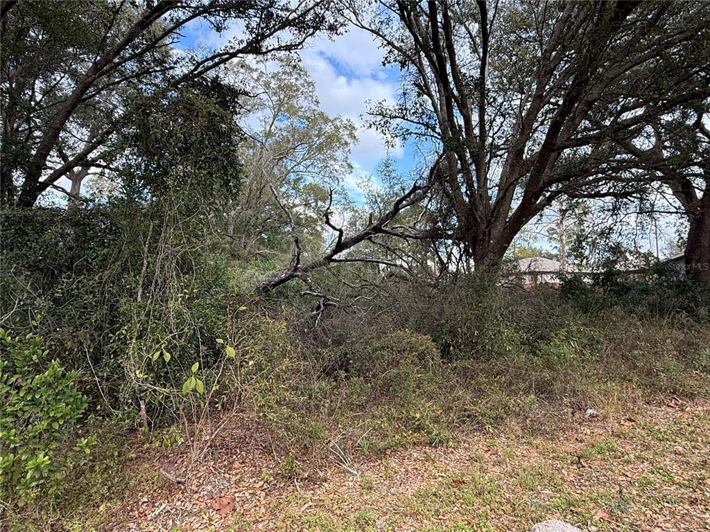 0 Hilda Road Dade City, FL 33523 - Photo 3 of 6