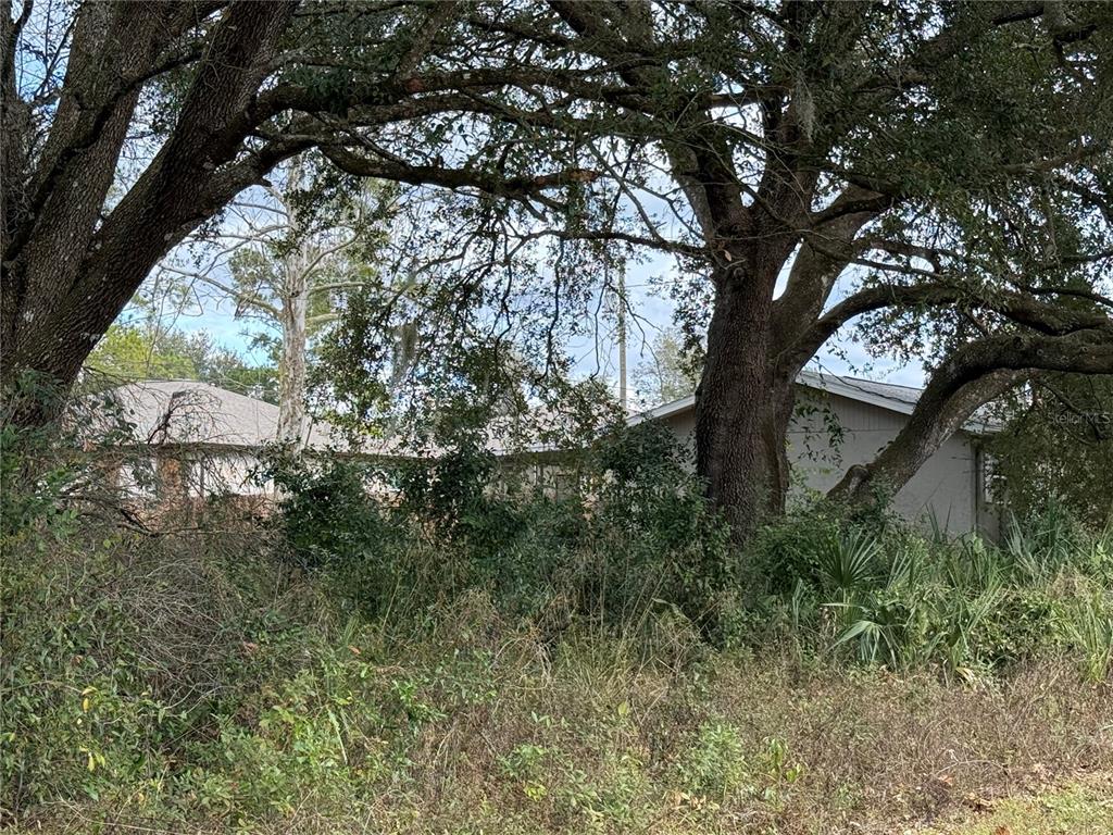 0 Hilda Road Dade City, FL 33523 - Photo 5 of 6 a view of a tree in a yard