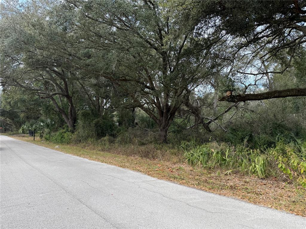 0 Hilda Road Dade City, FL 33523 - Photo 6 of 6 a view of a yard with a tree
