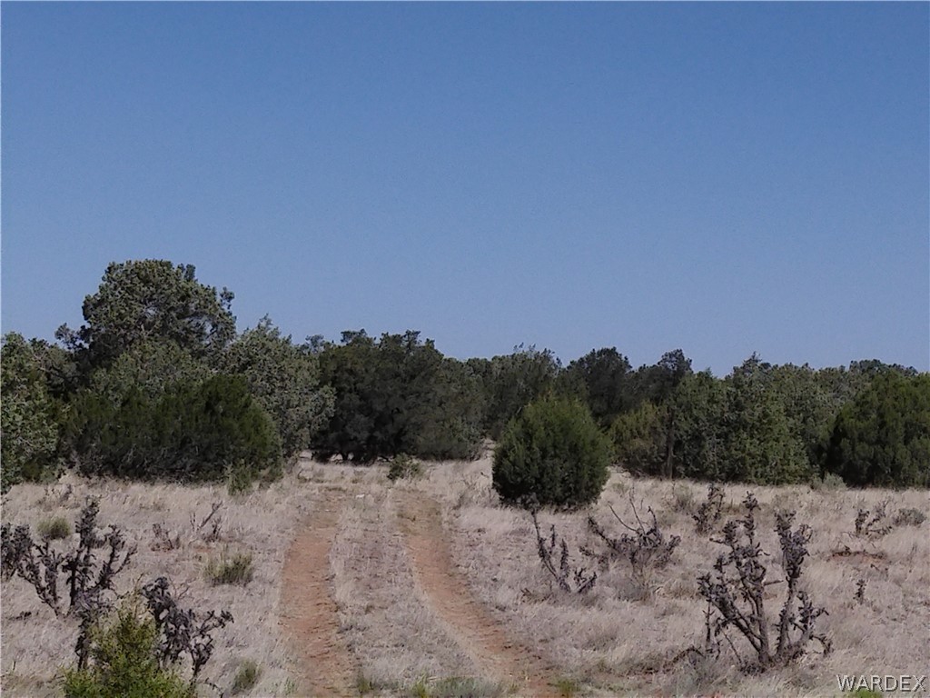 301-31-148 Antelope Run Road Seligman, AZ 86337 - Photo 8 of 8