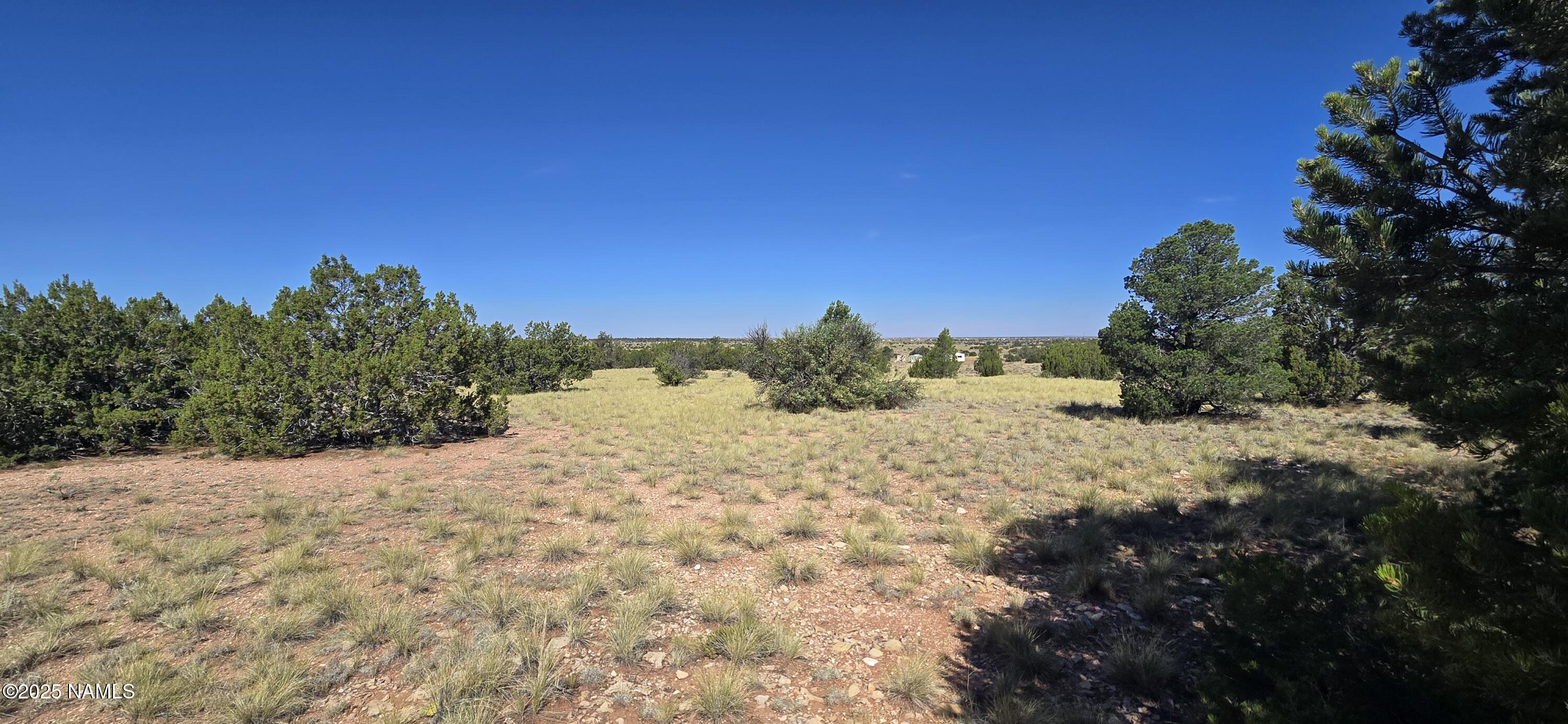 3810 Wingfield Road Williams, AZ 86046 - Photo 4 of 17 20250806_094134