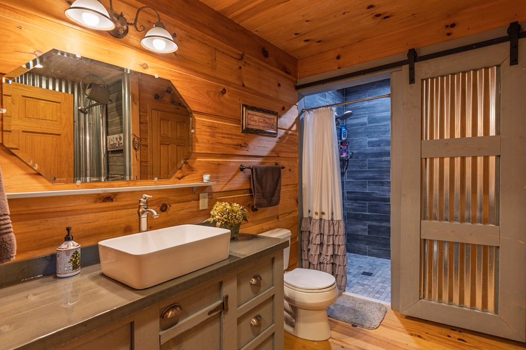 659 Kells Ridge Drive Ellijay, GA 30540 - Photo 20 of 41 a bathroom with a sink a toilet and shower
