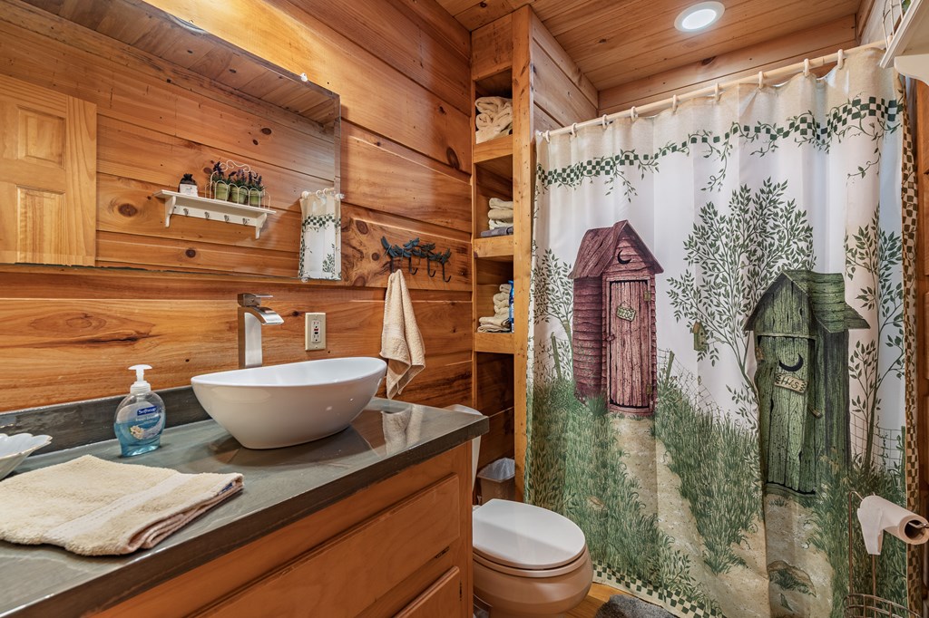 659 Kells Ridge Drive Ellijay, GA 30540 - Photo 31 of 41 a bathroom with a granite countertop sink a toilet and shower