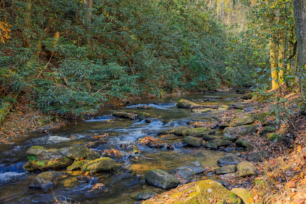 659 Kells Ridge Drive Ellijay, GA 30540 - Photo 34 of 41 a view of a lake view