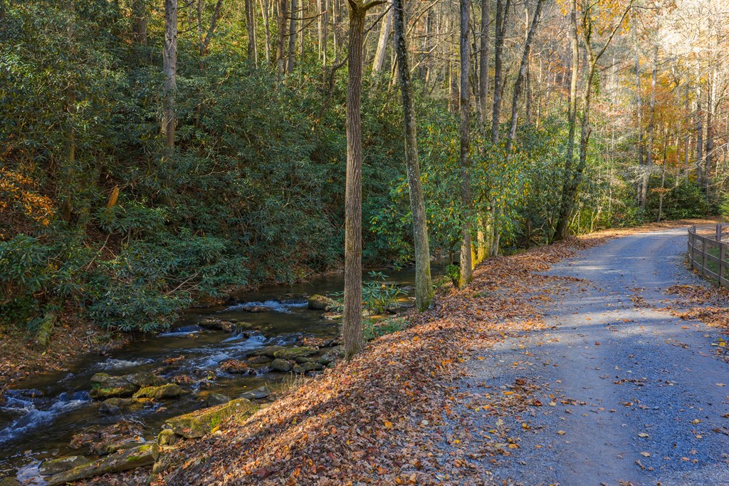 659 Kells Ridge Drive Ellijay, GA 30540 - Photo 35 of 41 a view of a forest filled with trees