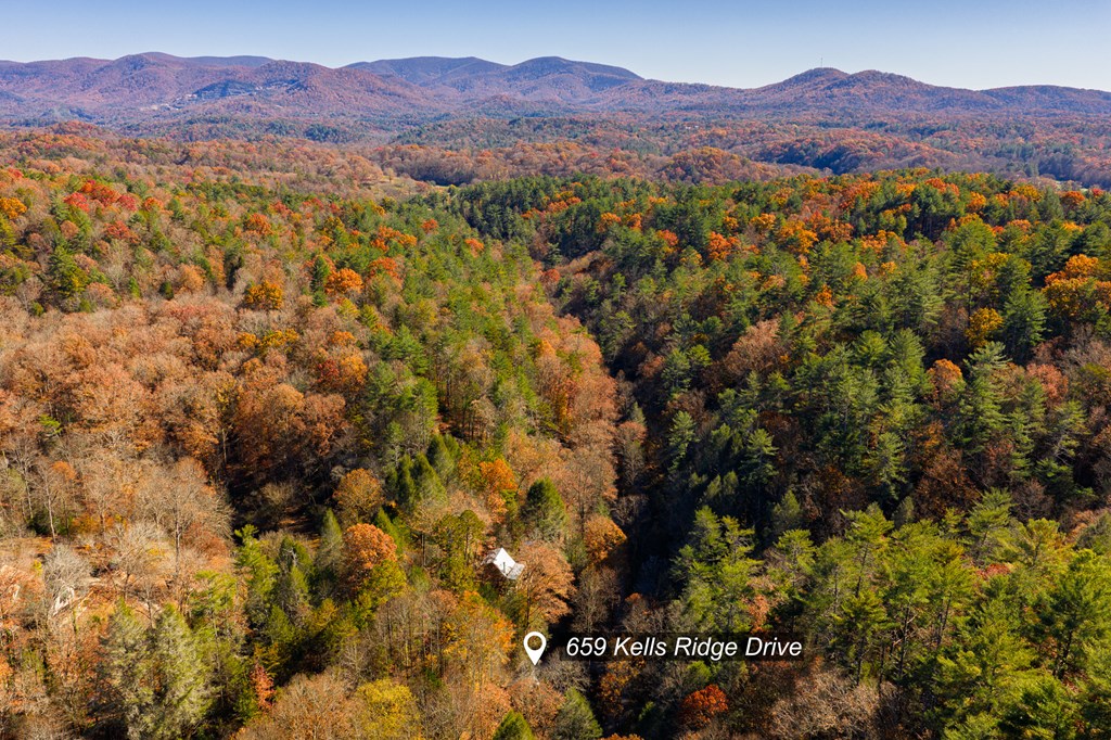 659 Kells Ridge Drive Ellijay, GA 30540 - Photo 40 of 41 a view of a forest with a street