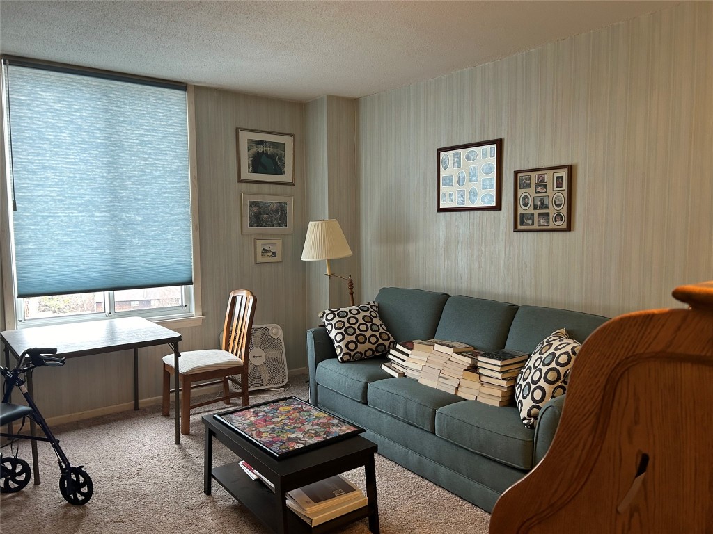 5 Riverside Drive, Unit 909 Binghamton, NY 13905 - Photo 15 of 20