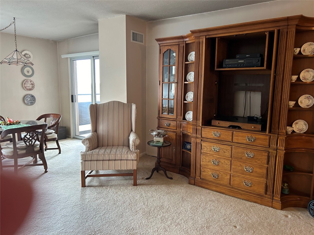 5 Riverside Drive, Unit 909 Binghamton, NY 13905 - Photo 4 of 20