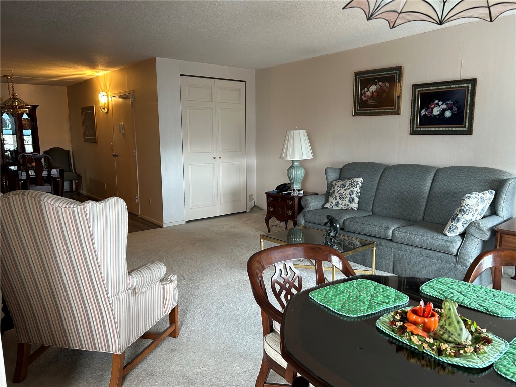 5 Riverside Drive, Unit 909 Binghamton, NY 13905 - Photo 10 of 20