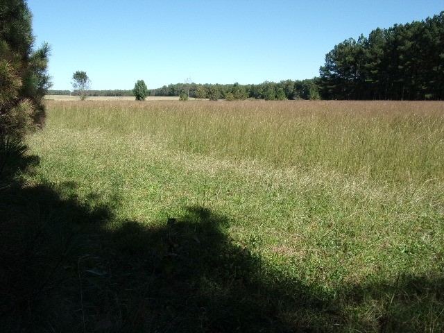 3231 State Line Road Taft, TN 38488 - Photo 23 of 26 a view of lake and green space