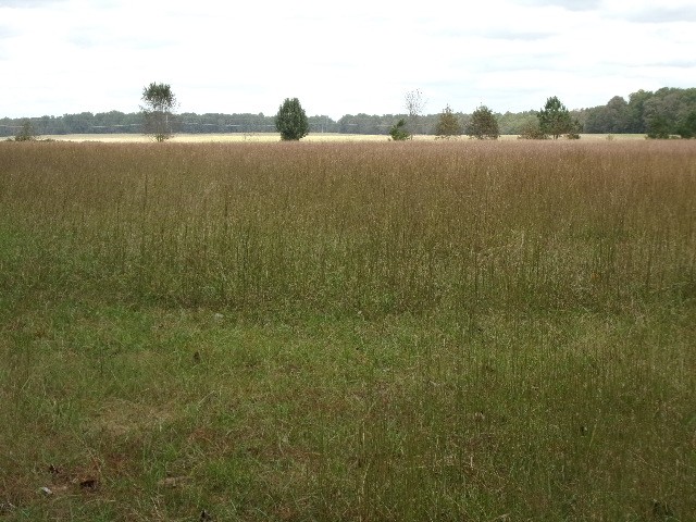 3231 State Line Road Taft, TN 38488 - Photo 24 of 26 a view of lake and mountain