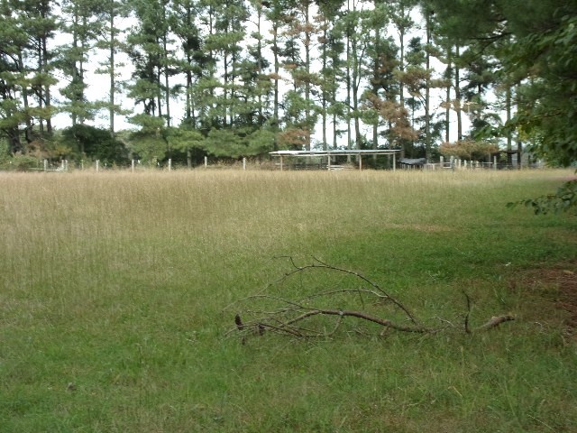 3231 State Line Road Taft, TN 38488 - Photo 25 of 26 a view of lake with green space