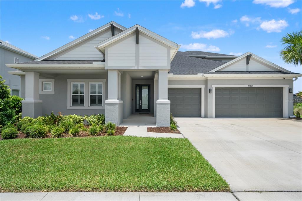 33875 Castaway Loop Wesley Chapel, FL 33543 - Photo 2 of 100