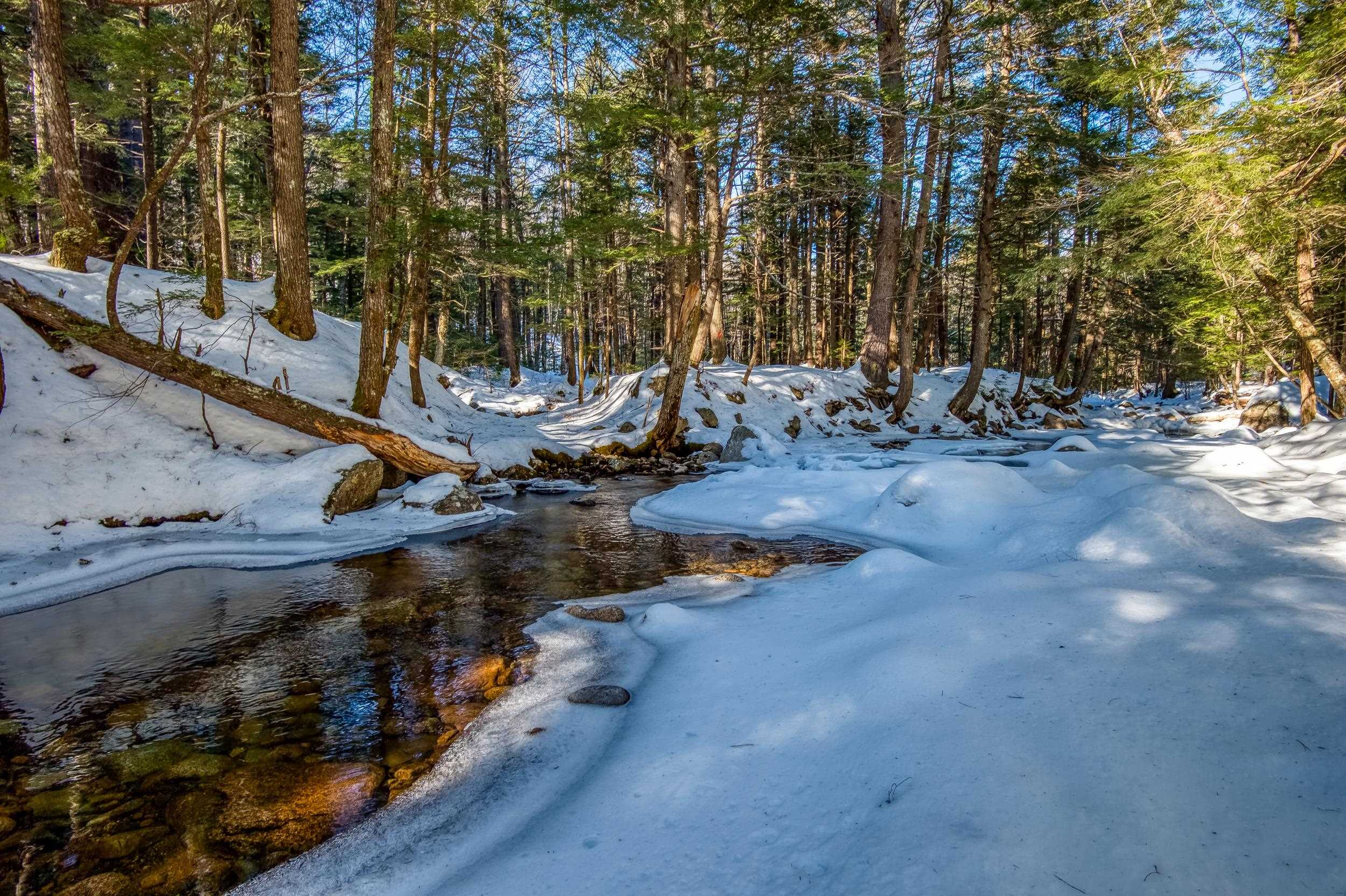 8 Lucy Brook Road North Conway, NH 03860 - Photo 5 of 6 Gallery Image 5