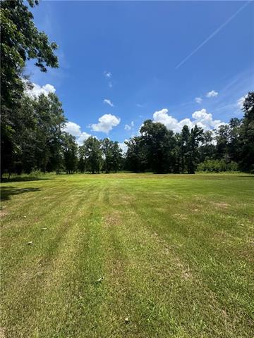49090 Stafford Road Tickfaw, LA 70466 - Photo 4 of 8